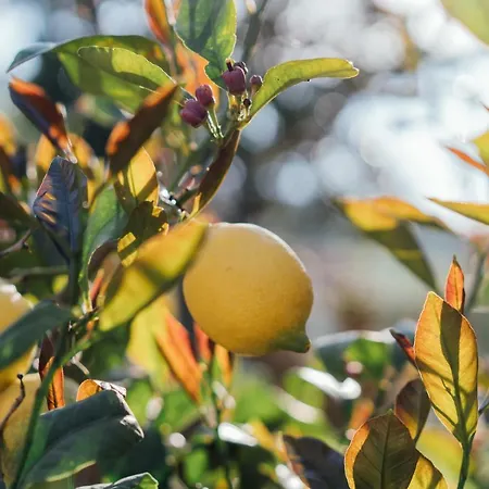 Country Club Sport Alba Adriatica